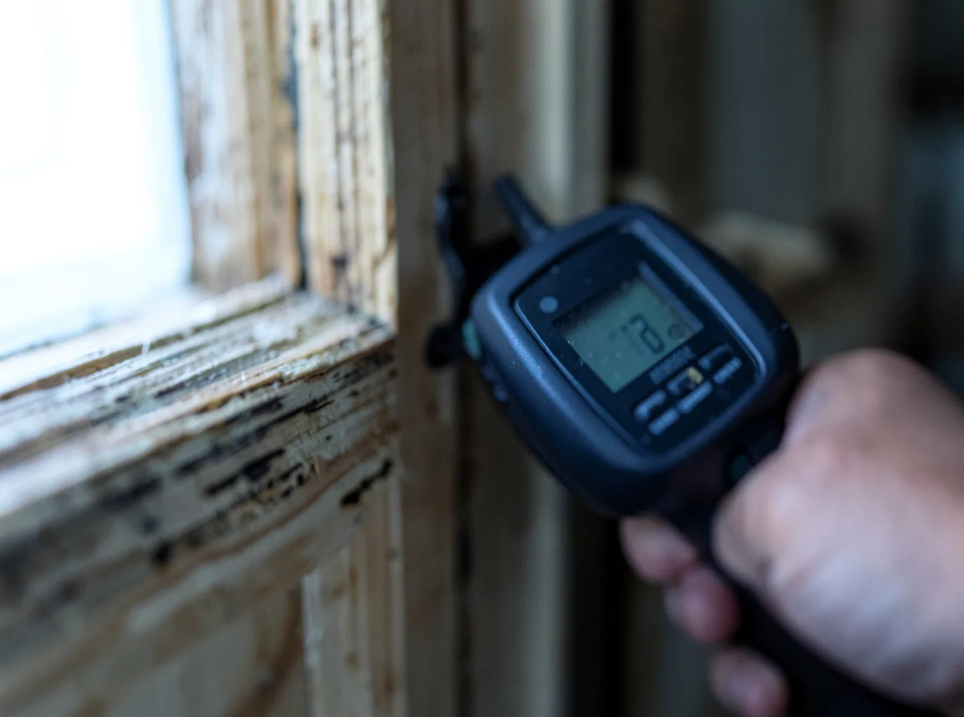 Moisture Inspection And Documentation in Angie, LA